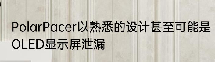 PolarPacer以熟悉的设计甚至可能是OLED显示屏泄漏