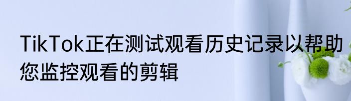 TikTok正在测试观看历史记录以帮助您监控观看的剪辑