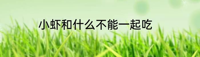 小虾和什么不能一起吃