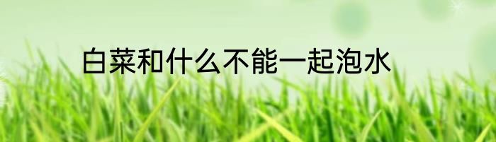 白菜和什么不能一起泡水