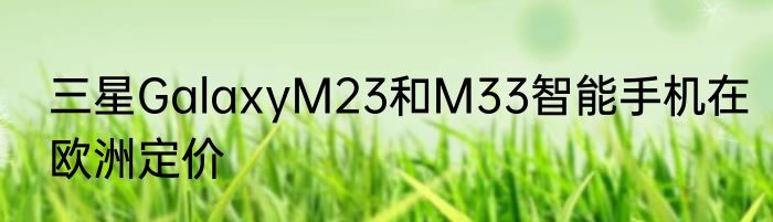龙眼不能同芒果一起吃吗