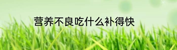 营养不良吃什么补得快