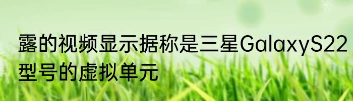 露的视频显示据称是三星GalaxyS22型号的虚拟单元