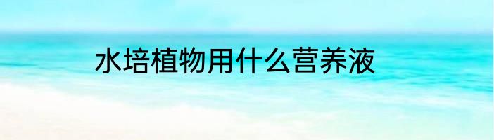 水培植物用什么营养液