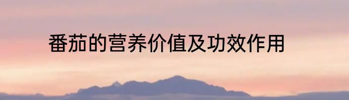 番茄的营养价值及功效作用