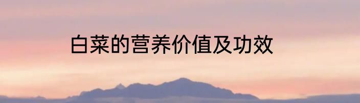 白菜的营养价值及功效