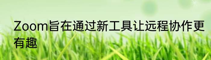 Zoom旨在通过新工具让远程协作更有趣