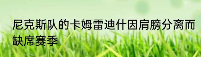 尼克斯队的卡姆雷迪什因肩膀分离而缺席赛季