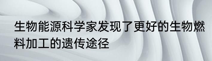 生物能源科学家发现了更好的生物燃料加工的遗传途径