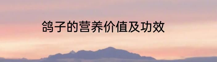 鸽子的营养价值及功效