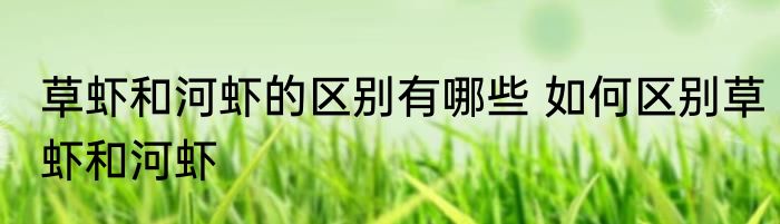 草虾和河虾的区别有哪些 如何区别草虾和河虾