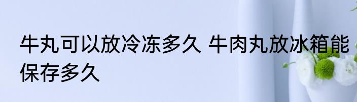 牛丸可以放冷冻多久 牛肉丸放冰箱能保存多久