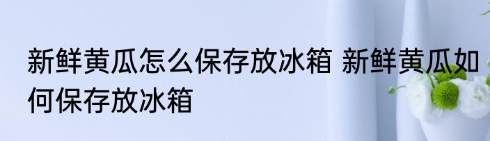 新鲜黄瓜怎么保存放冰箱 新鲜黄瓜如何保存放冰箱