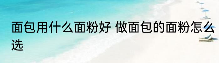 面包用什么面粉好 做面包的面粉怎么选