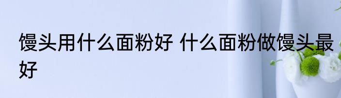 馒头用什么面粉好 什么面粉做馒头最好