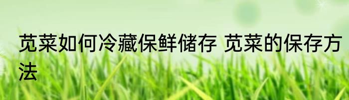 苋菜如何冷藏保鲜储存 苋菜的保存方法