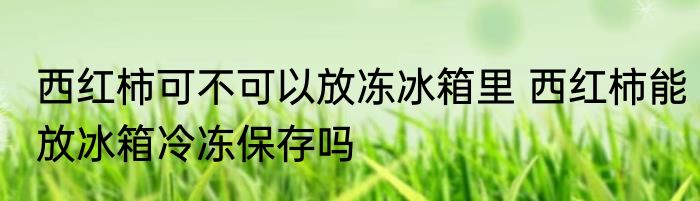西红柿可不可以放冻冰箱里 西红柿能放冰箱冷冻保存吗