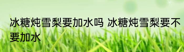 冰糖炖雪梨要加水吗 冰糖炖雪梨要不要加水