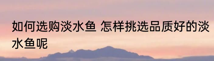 如何选购淡水鱼 怎样挑选品质好的淡水鱼呢