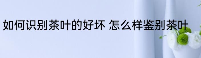 如何识别茶叶的好坏 怎么样鉴别茶叶