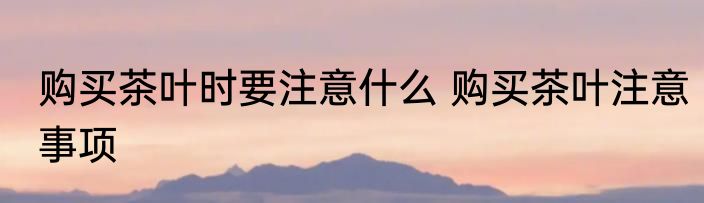 购买茶叶时要注意什么 购买茶叶注意事项