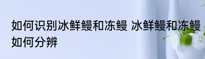 如何识别冰鲜鳗和冻鳗 冰鲜鳗和冻鳗如何分辨
