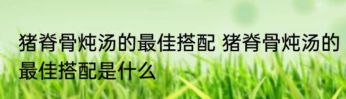 猪脊骨炖汤的最佳搭配 猪脊骨炖汤的最佳搭配是什么
