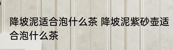 降坡泥适合泡什么茶 降坡泥紫砂壶适合泡什么茶
