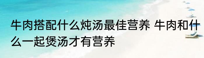 牛肉搭配什么炖汤最佳营养 牛肉和什么一起煲汤才有营养