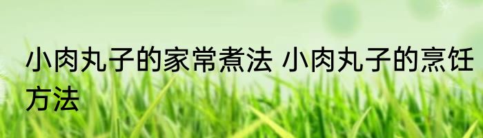小肉丸子的家常煮法 小肉丸子的烹饪方法