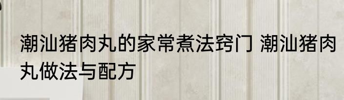 潮汕猪肉丸的家常煮法窍门 潮汕猪肉丸做法与配方