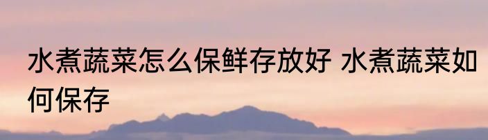 水煮蔬菜怎么保鲜存放好 水煮蔬菜如何保存