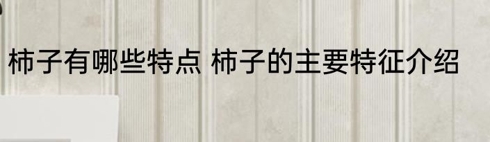 柿子有哪些特点 柿子的主要特征介绍