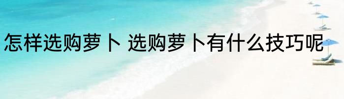 怎样选购萝卜 选购萝卜有什么技巧呢