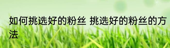 如何挑选好的粉丝 挑选好的粉丝的方法