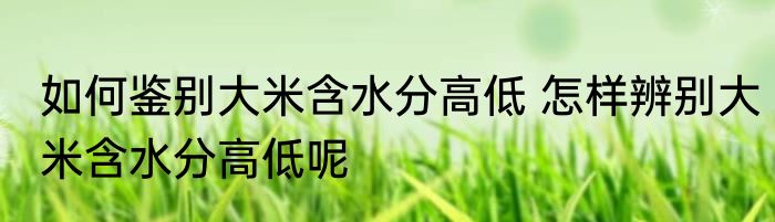 如何鉴别大米含水分高低 怎样辨别大米含水分高低呢