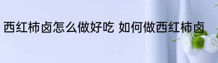 西红柿卤怎么做好吃 如何做西红柿卤