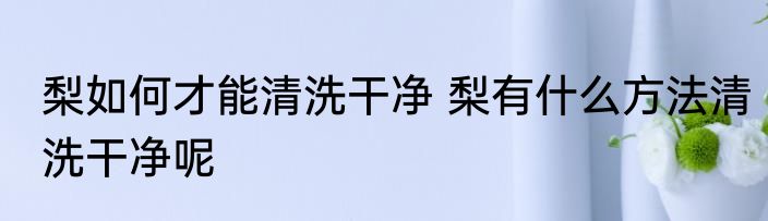 梨如何才能清洗干净 梨有什么方法清洗干净呢