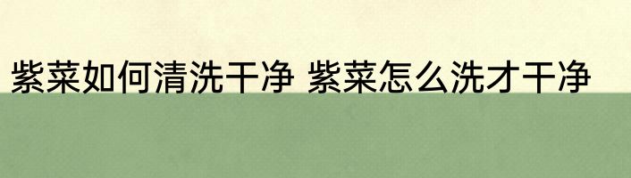 紫菜如何清洗干净 紫菜怎么洗才干净