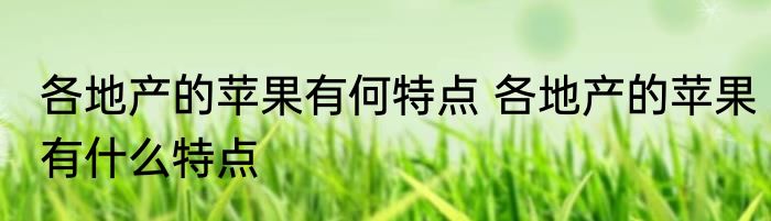各地产的苹果有何特点 各地产的苹果有什么特点