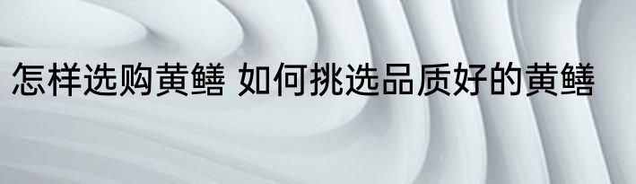 怎样选购黄鳝 如何挑选品质好的黄鳝