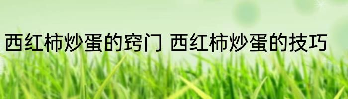 西红柿炒蛋的窍门 西红柿炒蛋的技巧