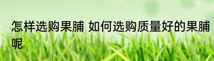 怎样选购果脯 如何选购质量好的果脯呢