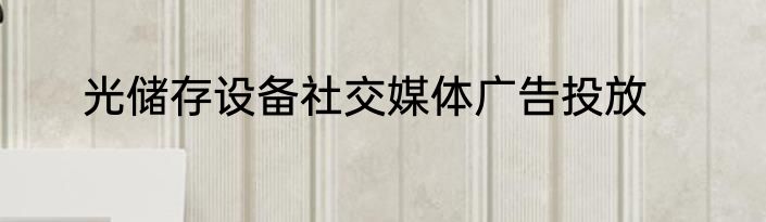 光储存设备社交媒体广告投放