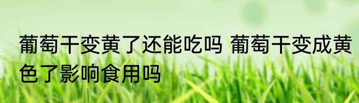葡萄干变黄了还能吃吗 葡萄干变成黄色了影响食用吗