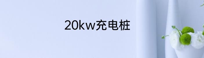 20kw充电桩