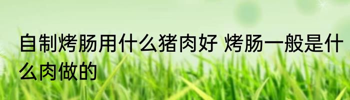 自制烤肠用什么猪肉好 烤肠一般是什么肉做的
