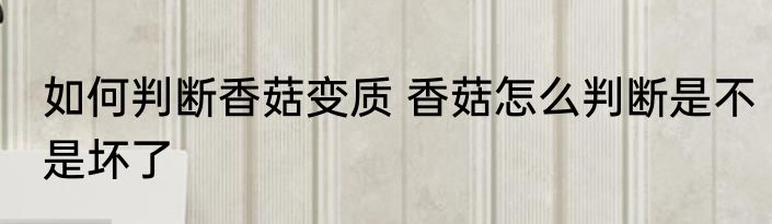 九阳电饭煲做蛋糕的方法 九阳电饭煲做蛋糕怎么做