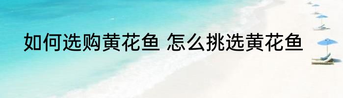 如何选购黄花鱼 怎么挑选黄花鱼
