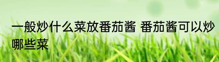 一般炒什么菜放番茄酱 番茄酱可以炒哪些菜